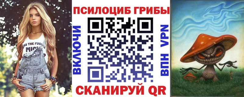 Галлюциногенные грибы Psilocybe  хочу   Жирновск 
