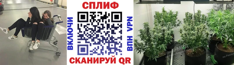 даркнет сайт  Жирновск  Марихуана индика 